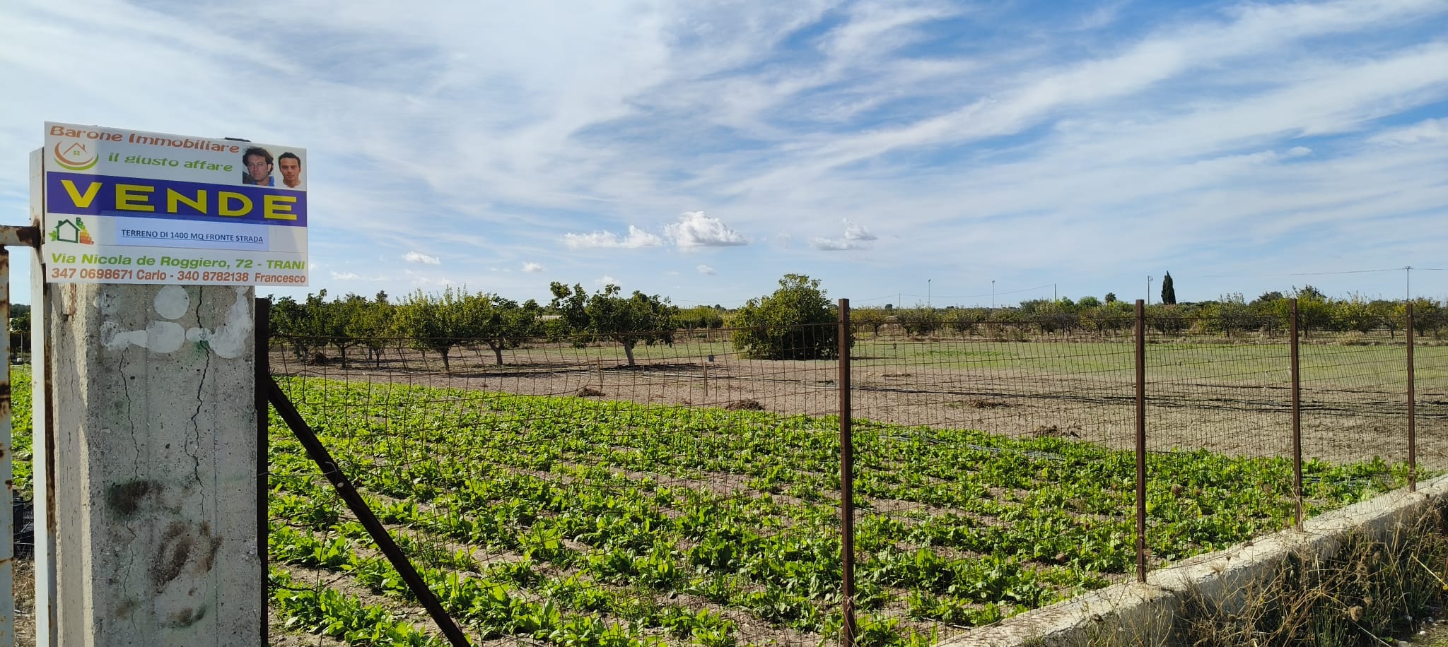 Terreno agricolo in vendita, località Boccadoro - Contrada Le Paludi - Trani.